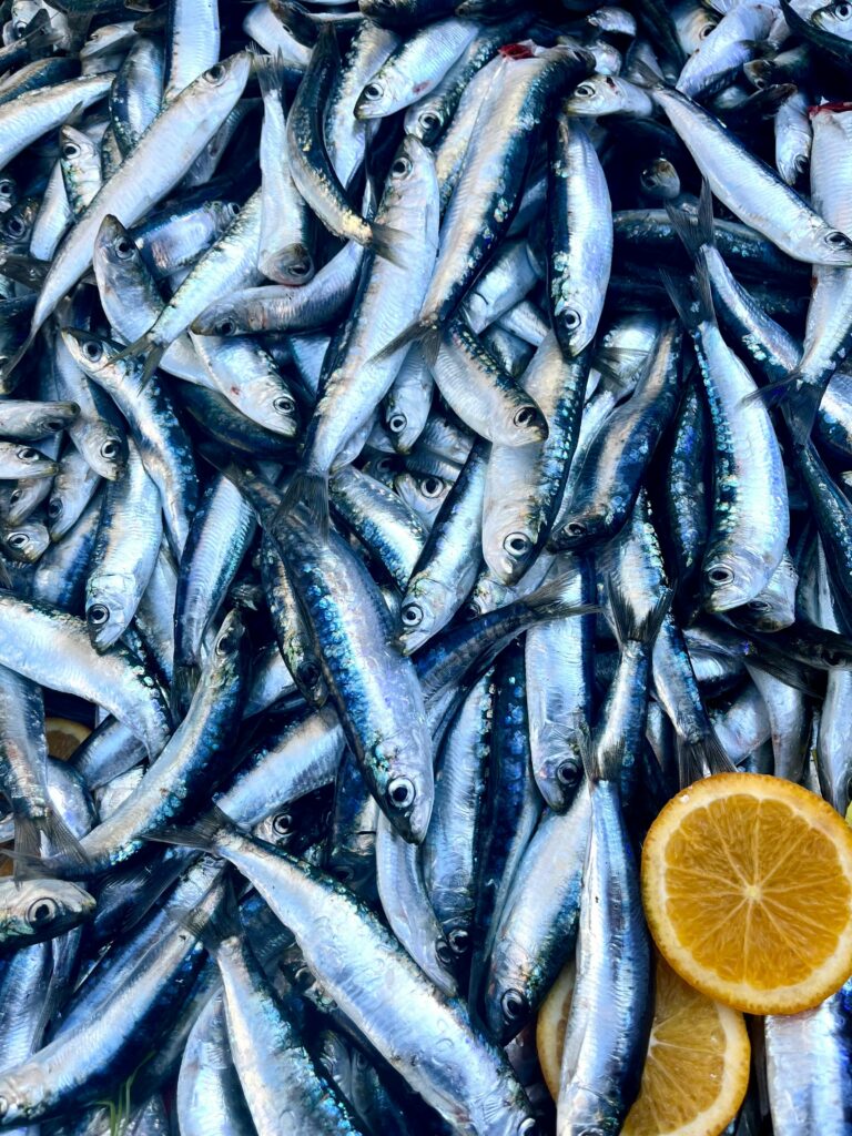 SẢN PHẨM CHẾ BIẾN TỪ CÁ